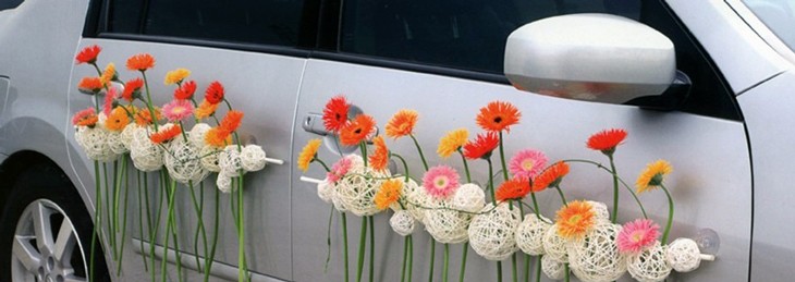 article image 01113